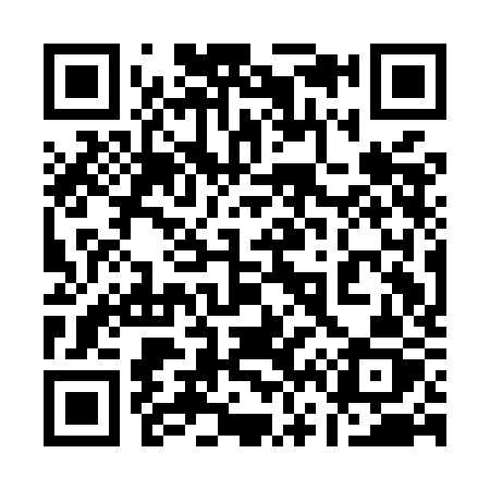 QR code for 161MKZ