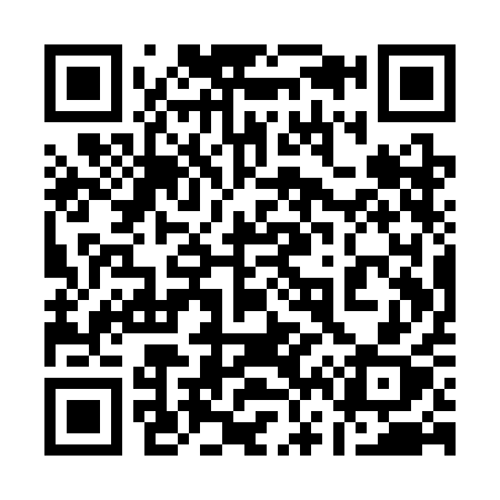 QR code for 161SAX
