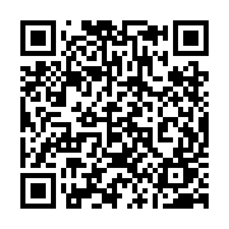 QR code for 161SET