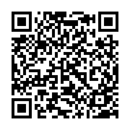 QR code for 161SPW