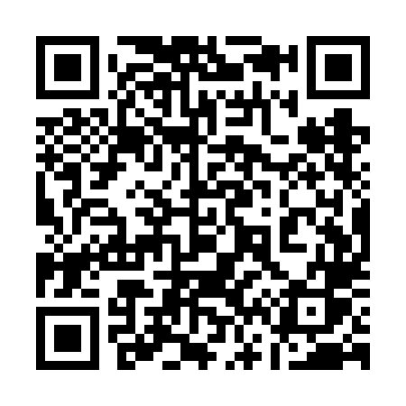 QR code for 161VLS