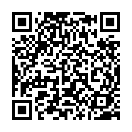 QR code for 161ZEK
