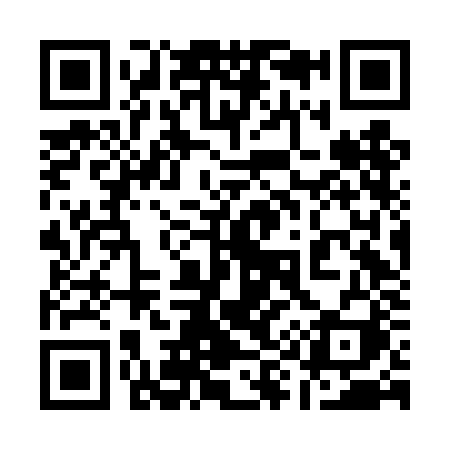 QR code for 196DJI