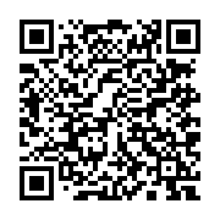 QR code for 196LMI