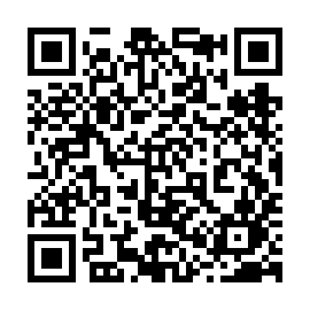 QR code for 203FIN