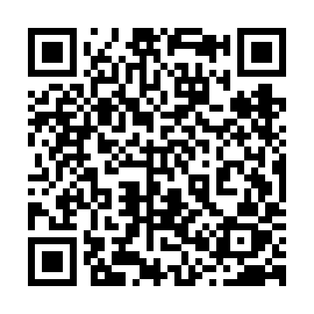 QR code for 205FIZ