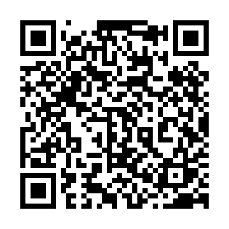 QR code for 206PAS