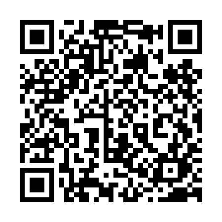 QR code for 207DIL