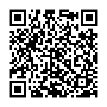 QR code for 207SOS