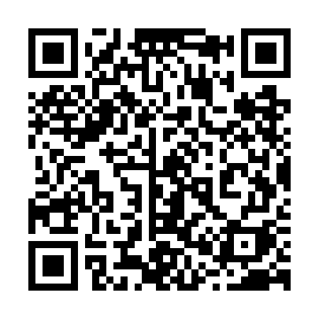 QR code for 207WGI