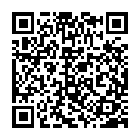 QR code for 210IDX