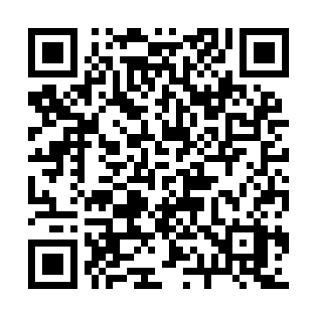 QR code for 213ICX