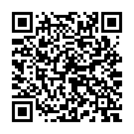 QR code for 216STI