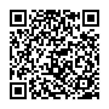 QR code for 217IEM