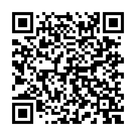 QR code for 218DMV