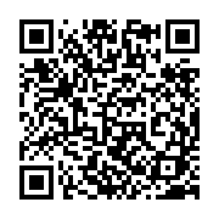 QR code for 221ZDI