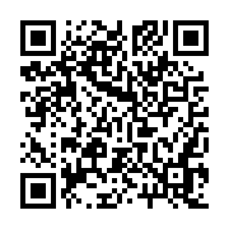 QR code for 222PUN