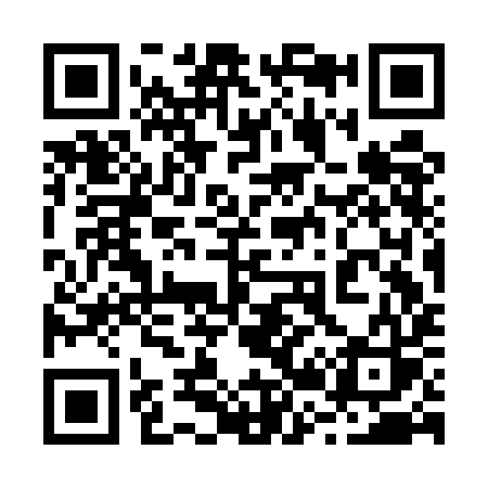 QR code for 223EIS