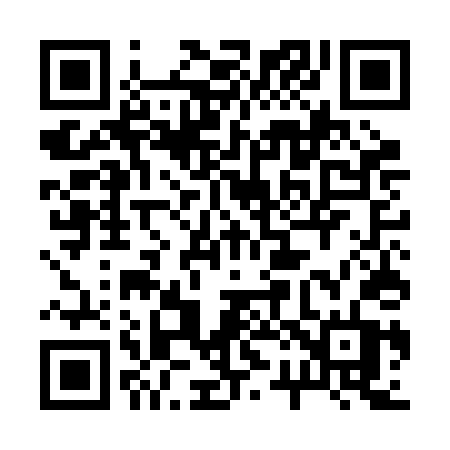 QR code for 225BDT