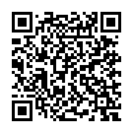 QR code for 225DMM