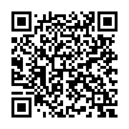 QR code for 225MSY