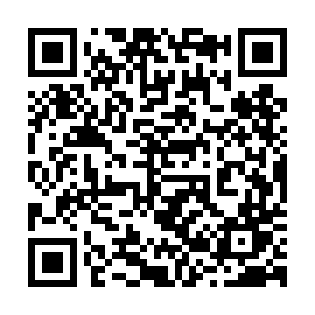 QR code for 225TDT