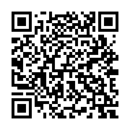 QR code for 228SYE