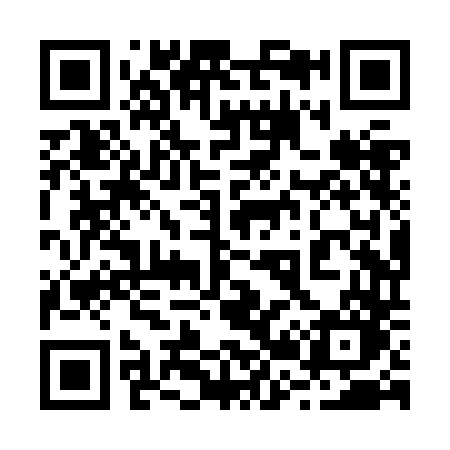 QR code for 228ZDO