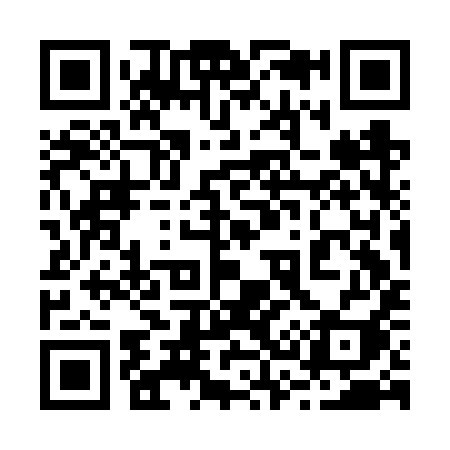 QR code for 233FYI