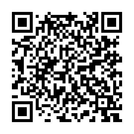 QR code for 233HIS