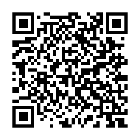 QR code for 233PMI