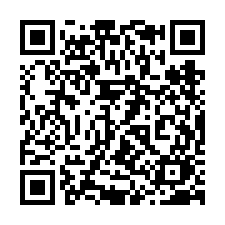QR code for 241VGO