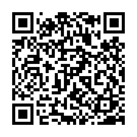 QR code for 243DSS