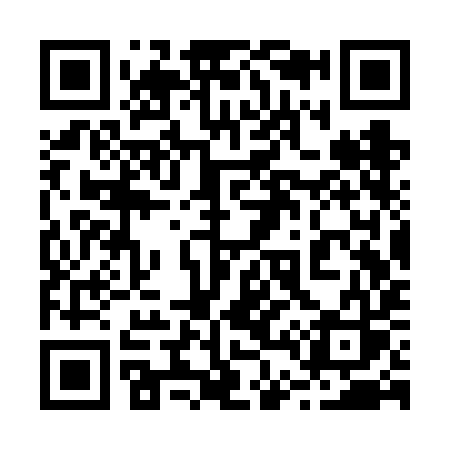 QR code for 243VIS