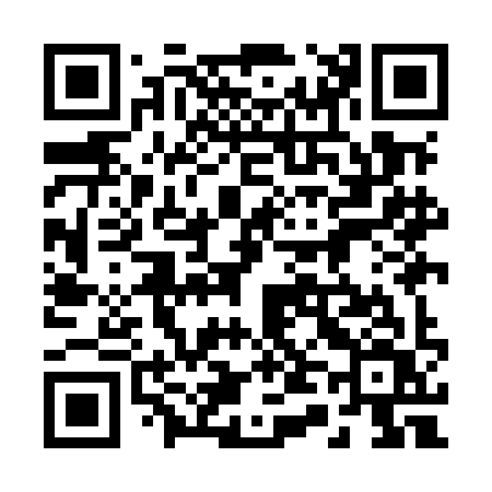 QR code for 249MIV