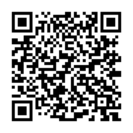 QR code for 249XDS