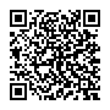 QR code for 250PLH