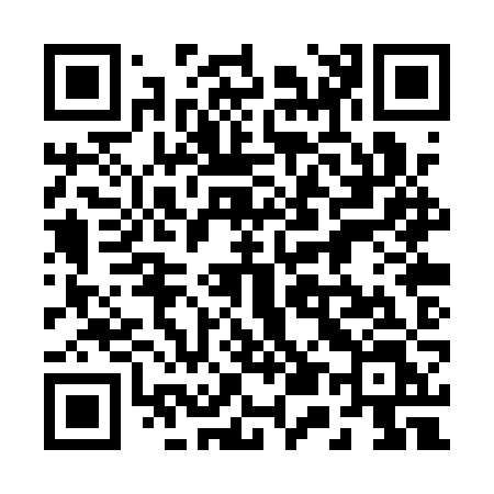 QR code for 250QZL
