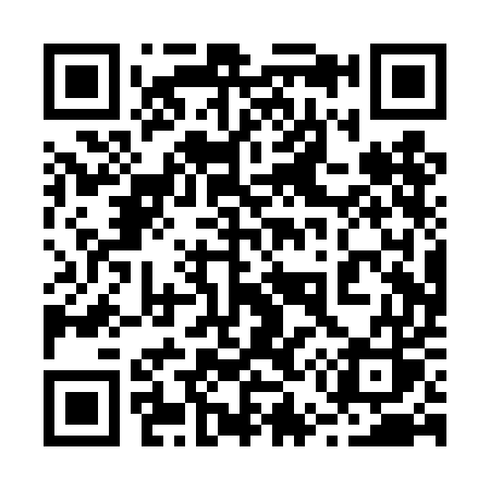 QR code for 250TES