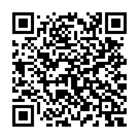 QR code for 256DTF