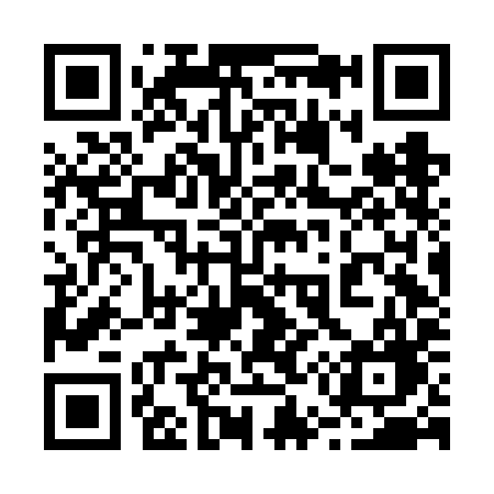 QR code for 256FIG
