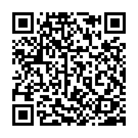 QR code for 262MSX