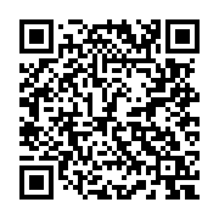 QR code for 272MSS