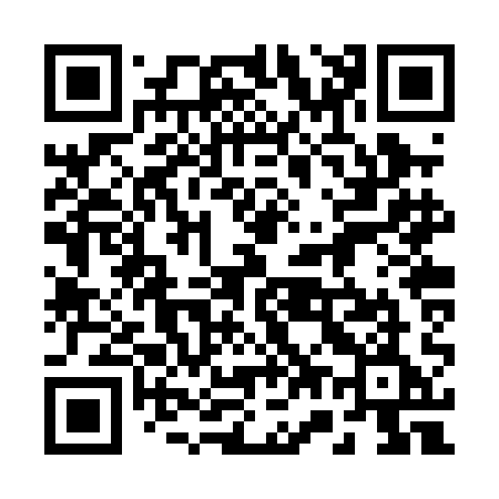 QR code for 272PAE