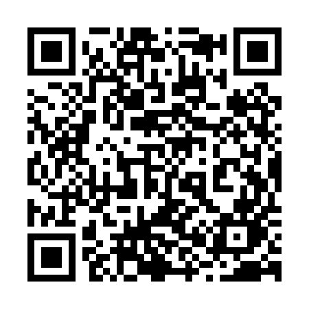 QR code for 289PUN
