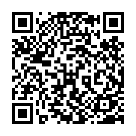 QR code for 290DAU