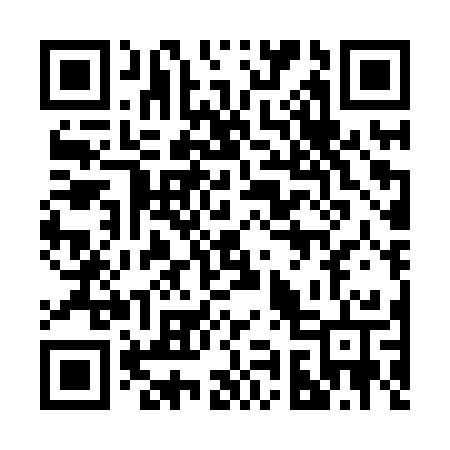 QR code for 290HST