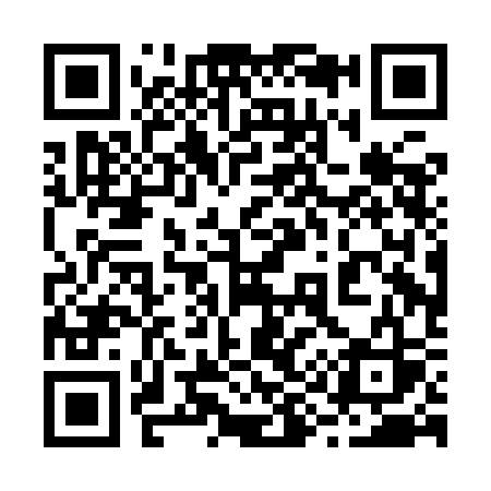 QR code for 290ICS