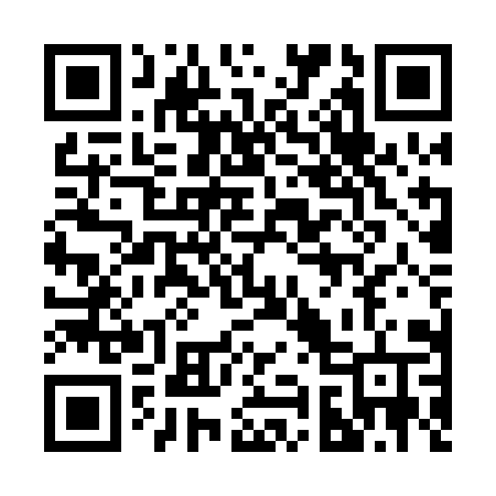 QR code for 290PIV