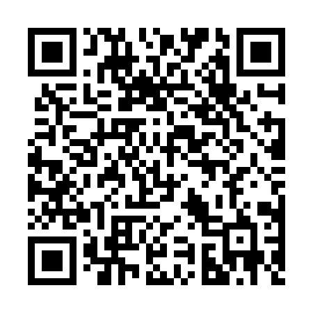 QR code for 290ZIB